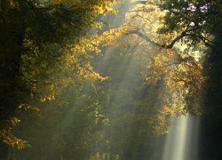 ✦Ritual coletivo Sagrado masculino