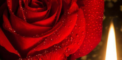 Descubra os Caminhos