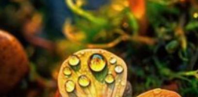 Carma no Relacionamento