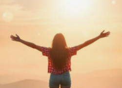 ✦ Programa de Harmoniza��o