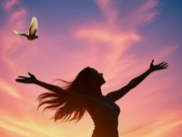 ✦ Relat�rio Luz Intuitiva