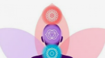 ✦ Mapa Express dos Chakras