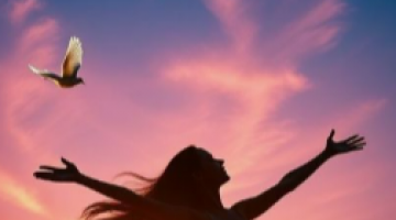 ✦ Relatrio Luz Intuitiva