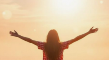 ✦ Programa de Harmonizao