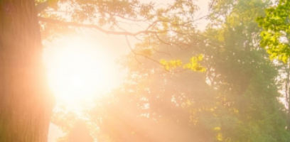 Dividida Entre Dois Amores? Como o Tarot do Amor Revela Quem � a Sua Alma G�mea