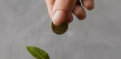 A Arquitetura do Sucesso: Como o Tarot Revela os Caminhos para a Sua Prosperidade Financeira